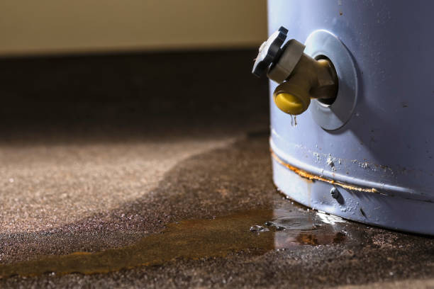 Best 24/7 water damage repair  in Harahan, LA