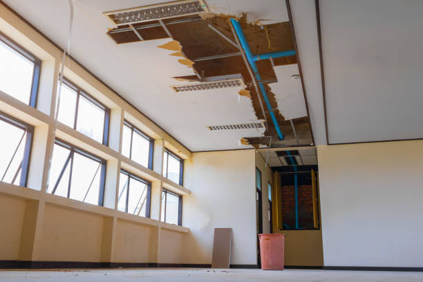 Best Sewage cleanup and water damage restoration  in Harahan, LA
