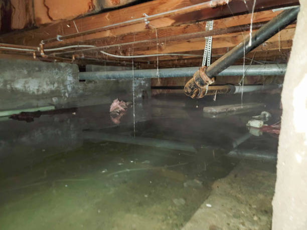 Best Water damage restoration insurance claims  in Harahan, LA