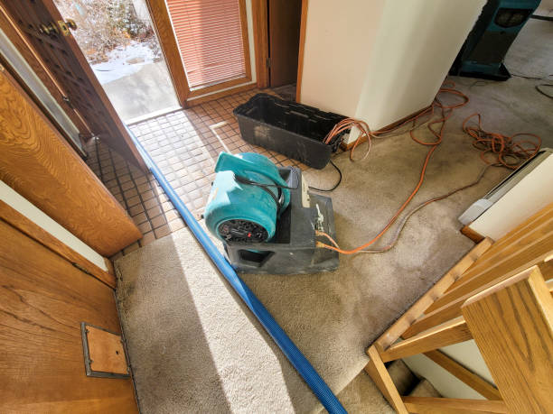 Best Flood damage cleanup  in Harahan, LA