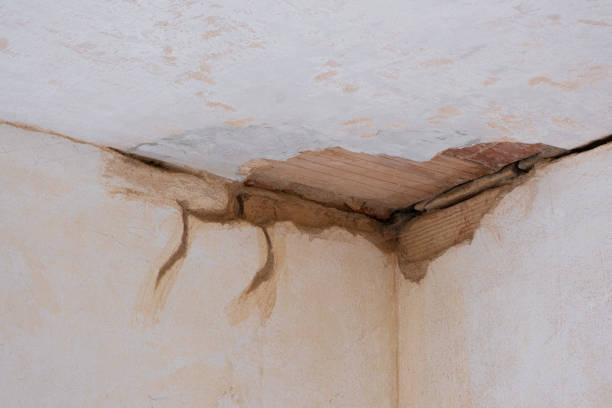 Professional Water damage restoration in Harahan, LA