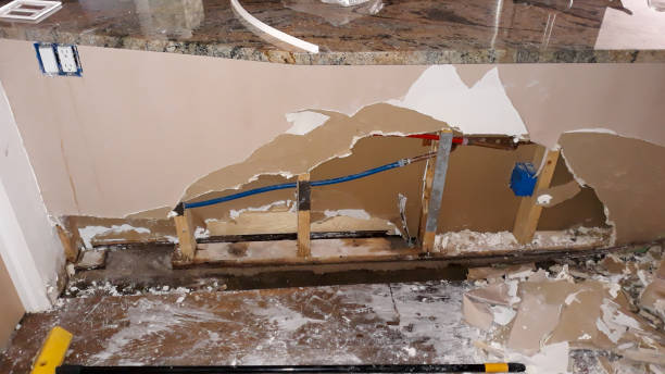 Best Ceiling water damage repair  in Harahan, LA