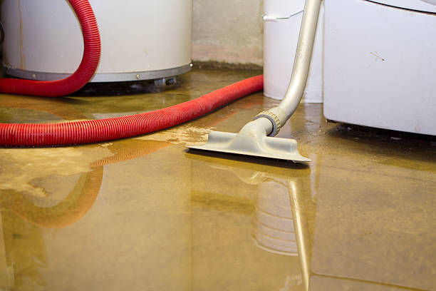 Water damage restoration insurance claims in Harahan, LA