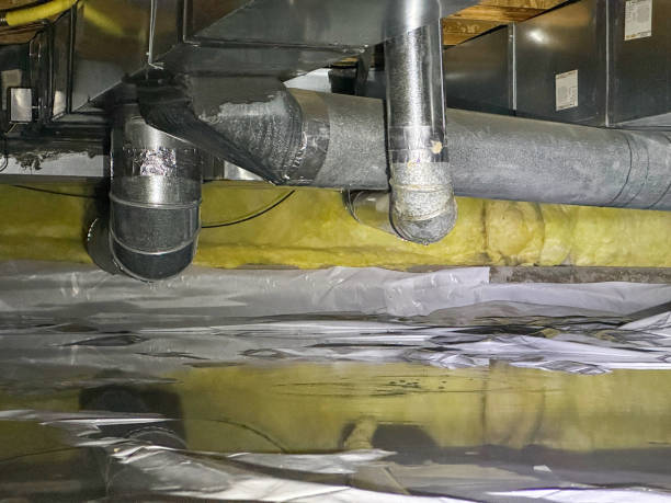 Best Flood damage cleanup  in Harahan, LA