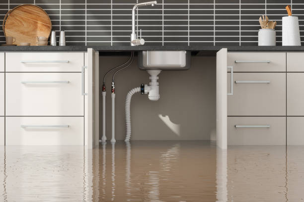 Best Water damage restoration near me  in Harahan, LA