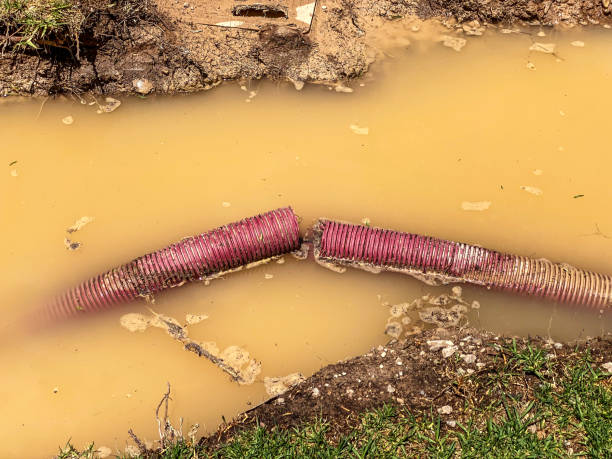 Best 24-hour water damage restoration  in Harahan, LA